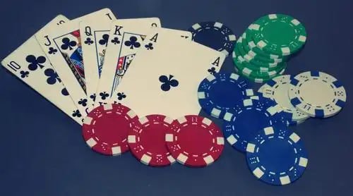 netbet