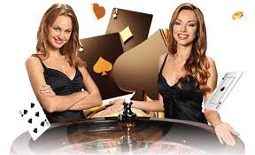 netbet netbet